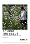 Sowing the seeds report front cover