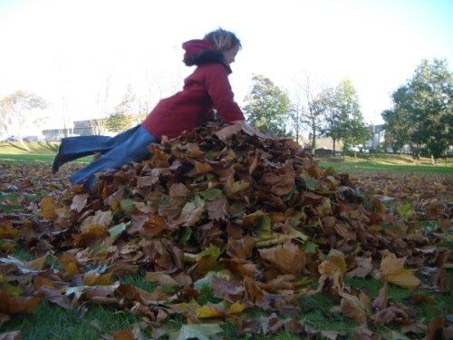 My daughter diving on a leaf pile